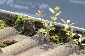 Geelong Gutter Cleaning
